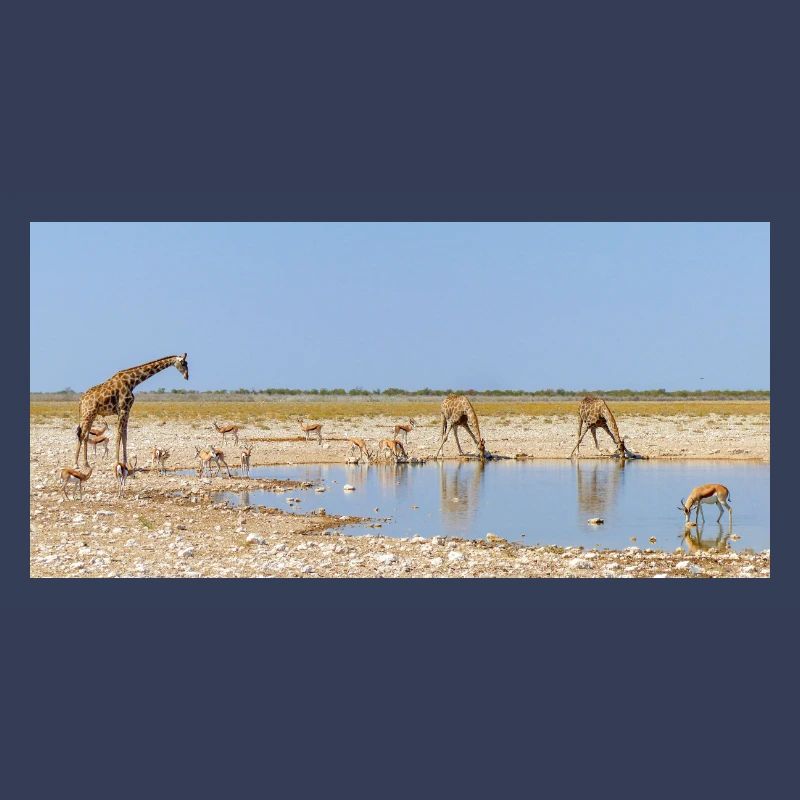 Landschaft am Fluss Cubango mit Giraffe