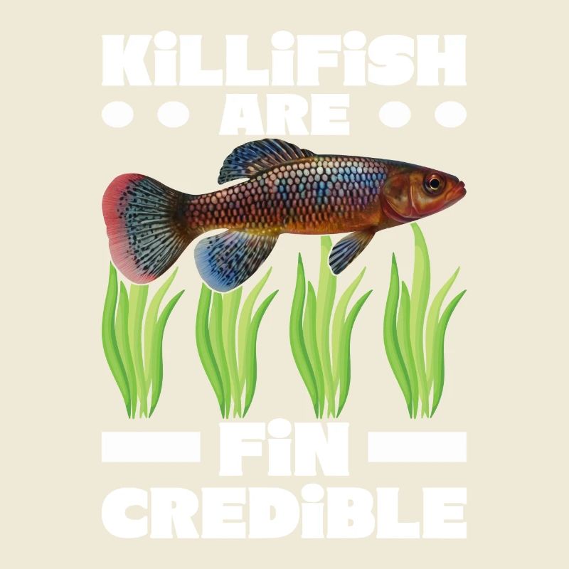 Killifish Quarium Fish