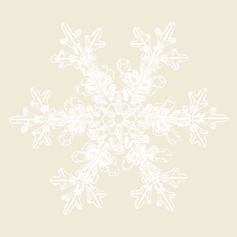 snowflake 7 white