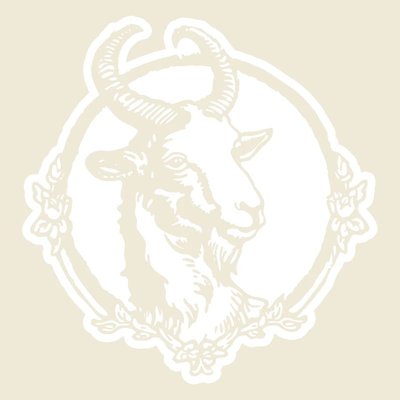 Steinbock Ziege