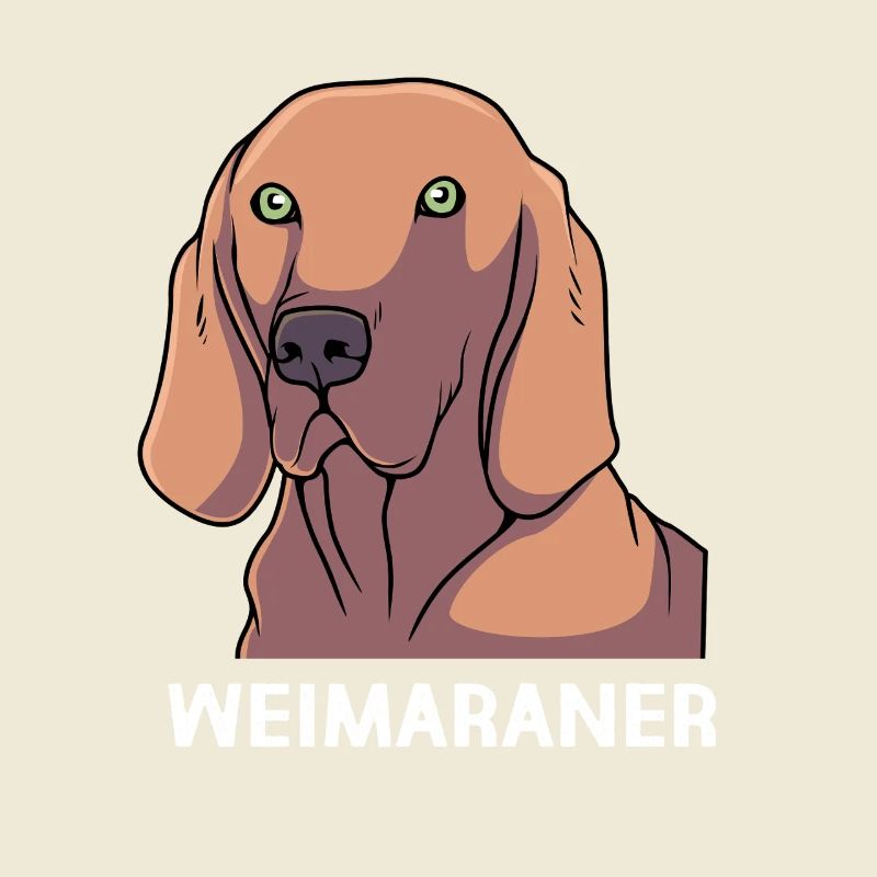 Weimaraner