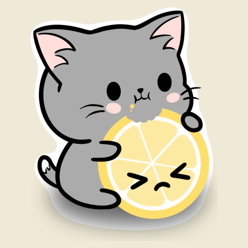 Chat citron