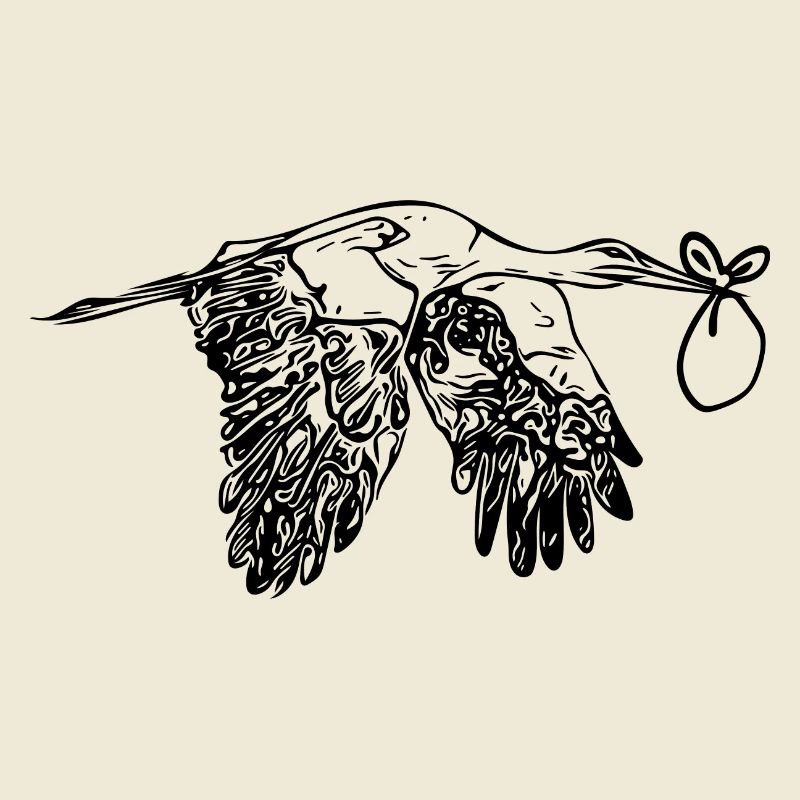 Flying Stork offspring Delivery