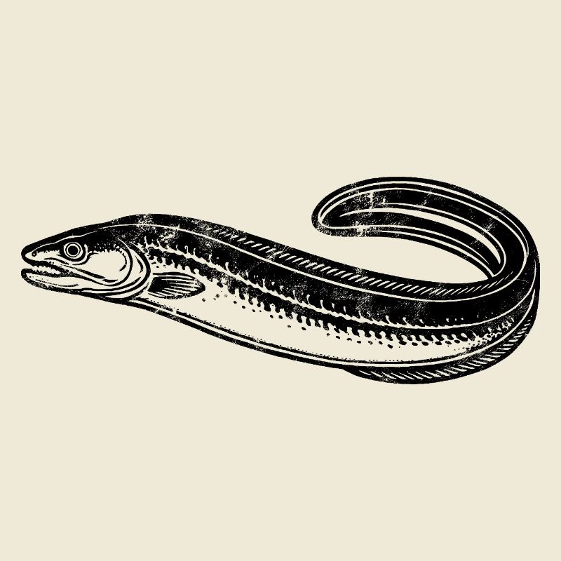 Eel - Fish - Angler Gift