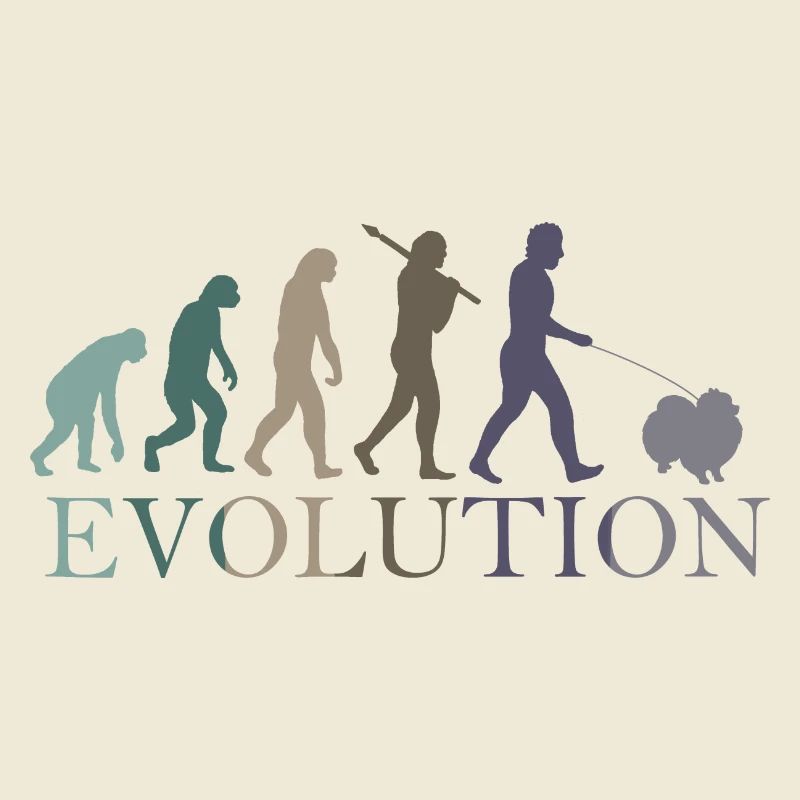 ÉVOLUTION POMÉRANIENNE