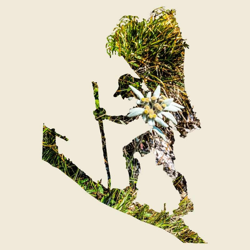 Bring mir noch ein Edelweiss!