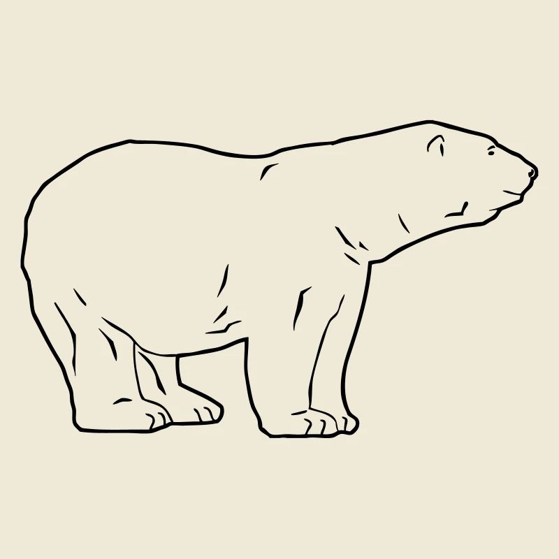 Polar Bear - Eisbär