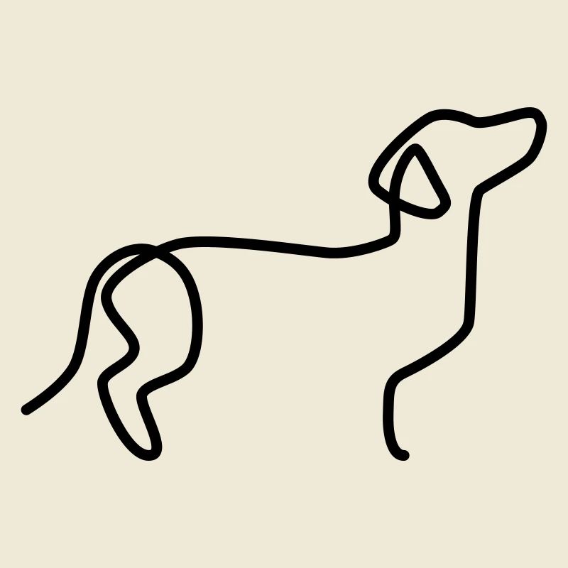 Dachshund