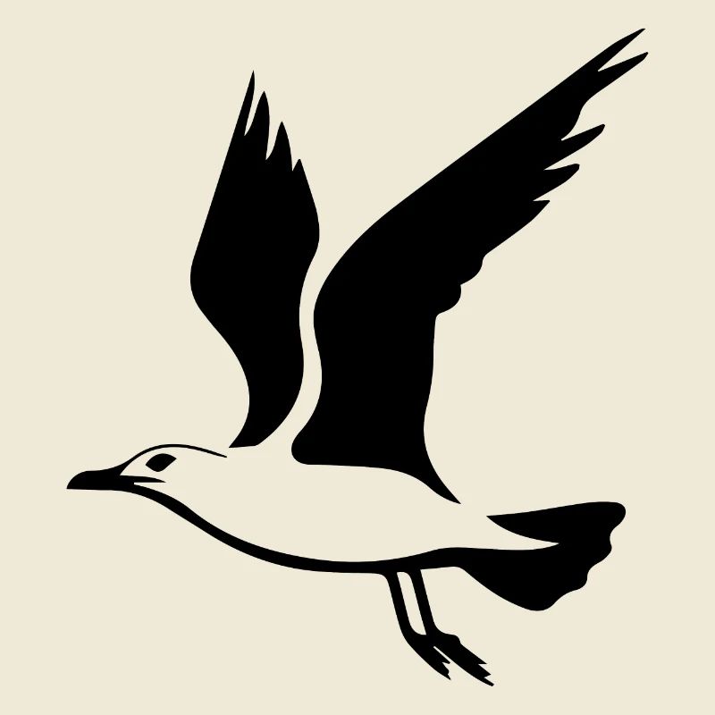 Möwe