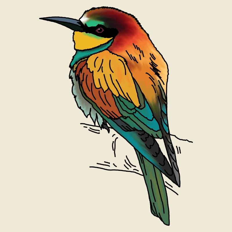 Bee-eater