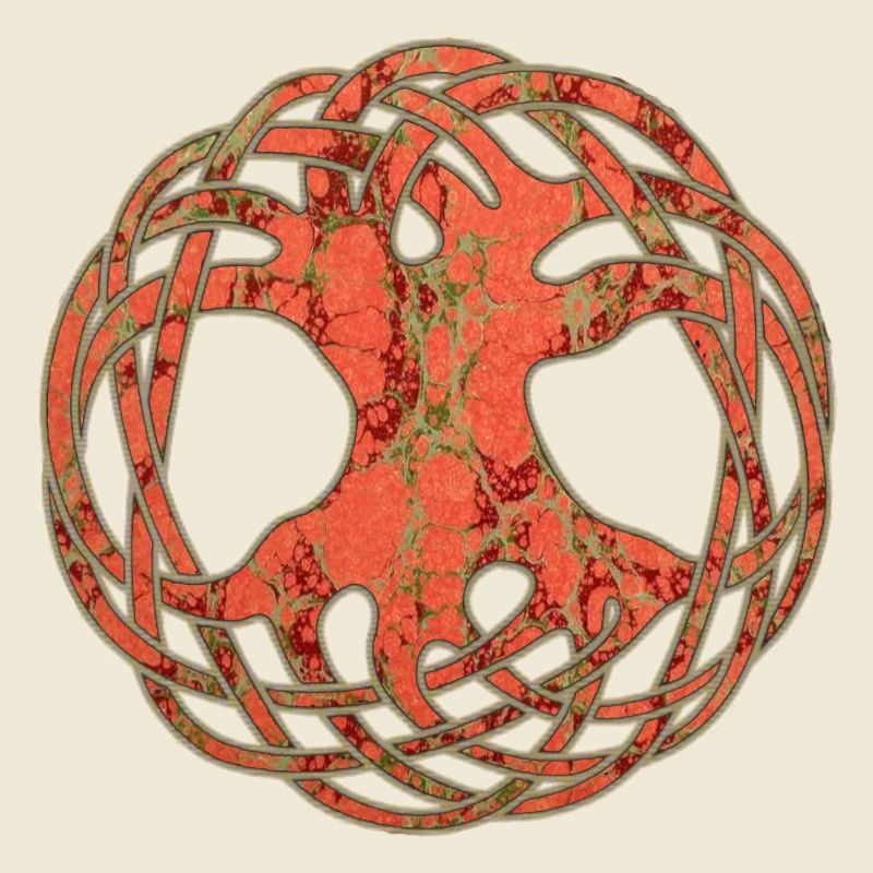 Celtic Arborvitae E 213
