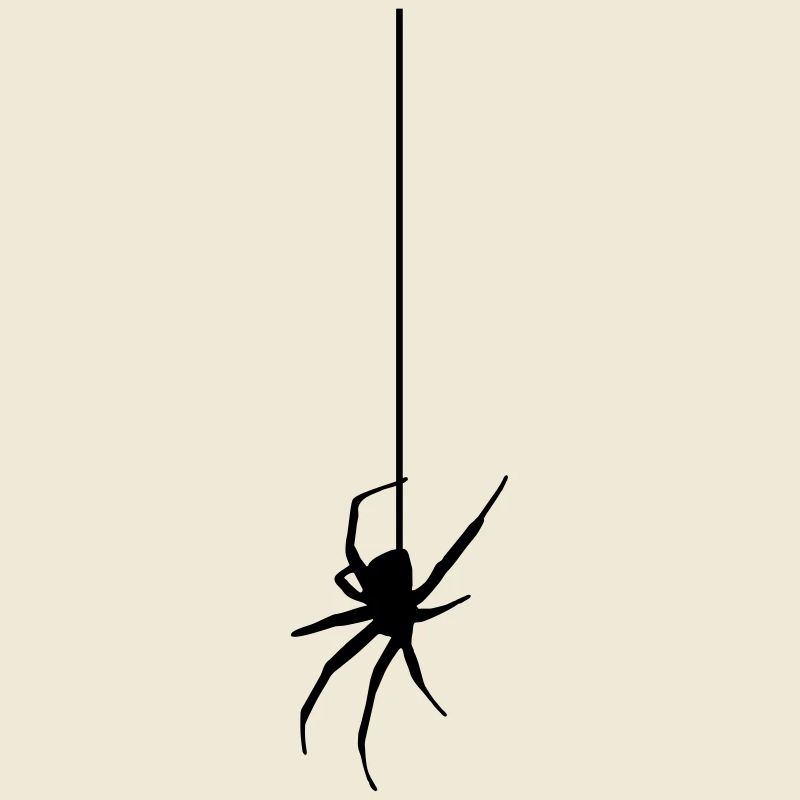 Spider on a thread - Araignée