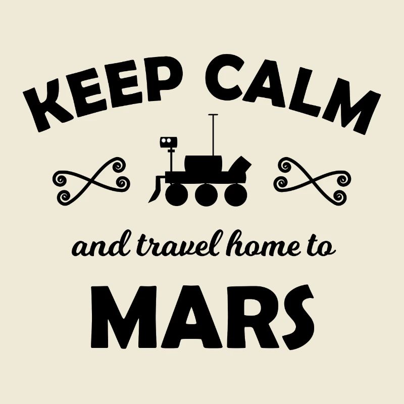 Holidays in space