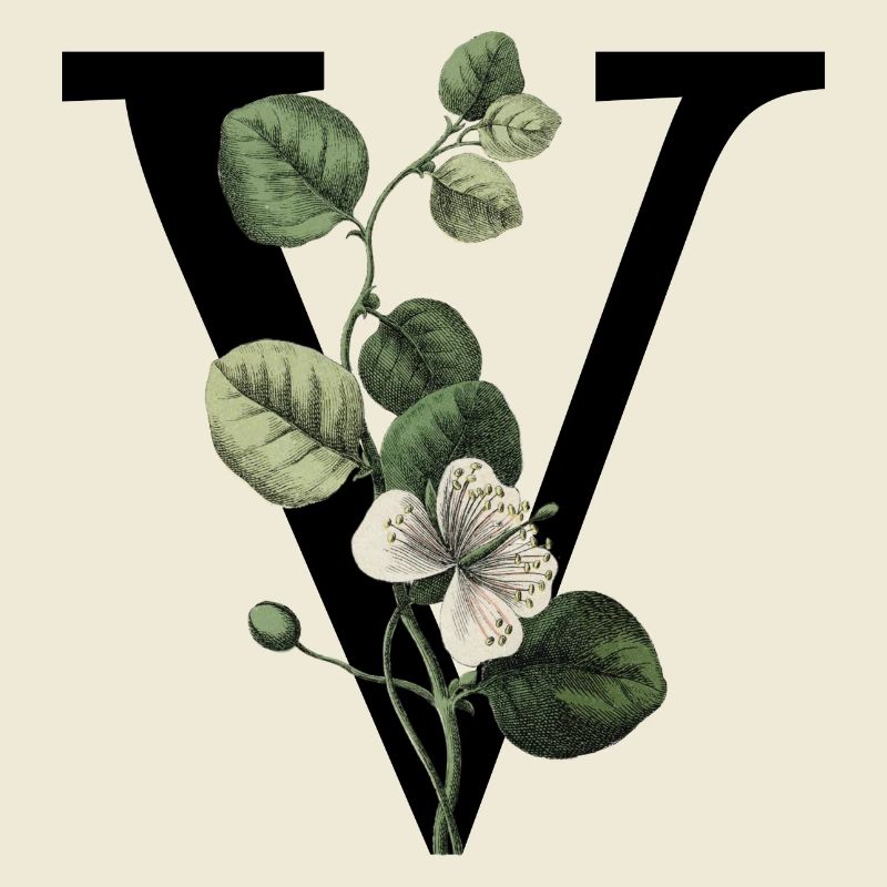 lettre v botanique vert
