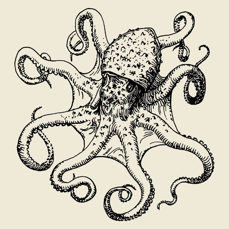 squid giant octopus octopus octopus squid sepia fish