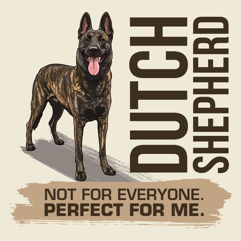 Dutch Shepherd – Dutchie
