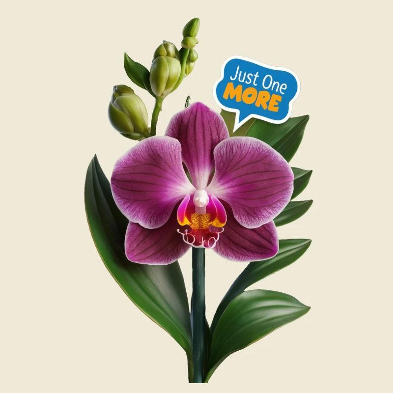 Nur noch eine Orchidee