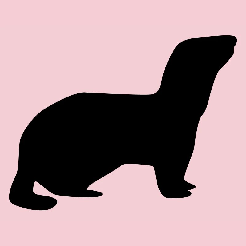 Furet