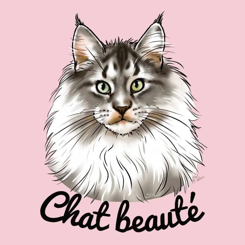 Chat beauté main coon (texte noir)