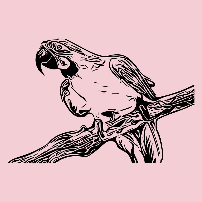 parrot