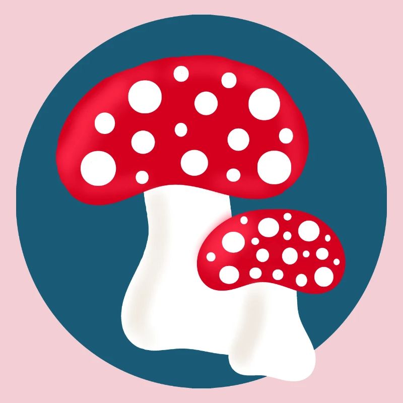 Toadstool, mushroom in the woods gift