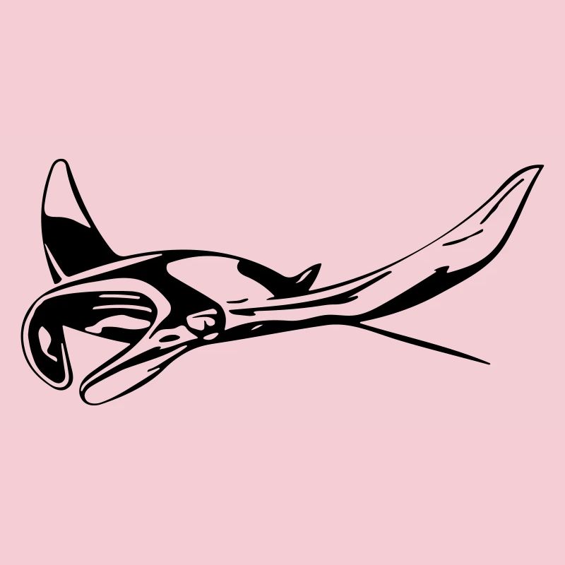 Manta Rochen