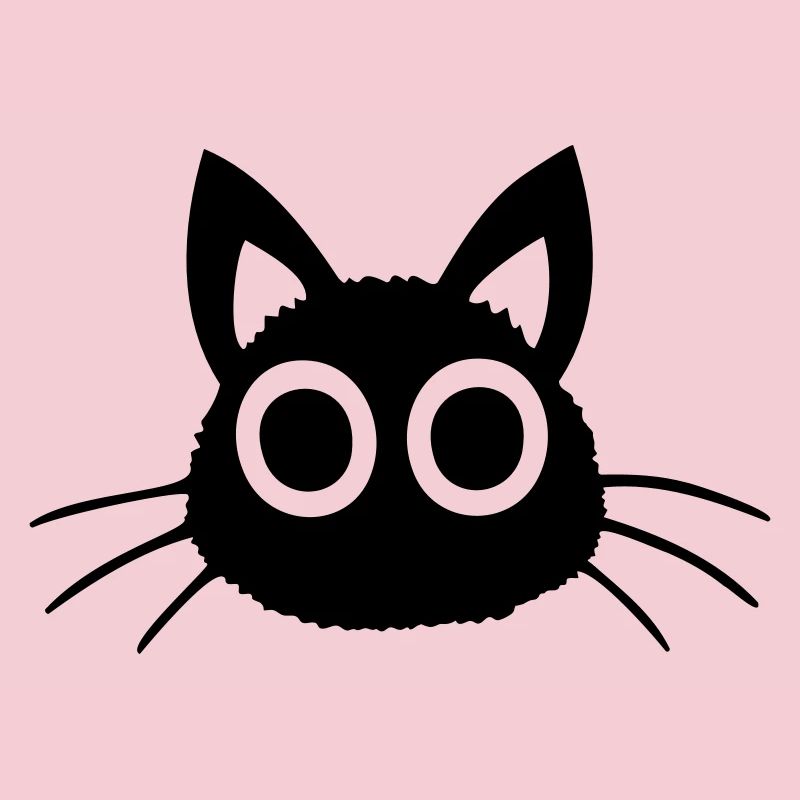 Chat Grands Yeux Noir Mignon Chaton Mignon