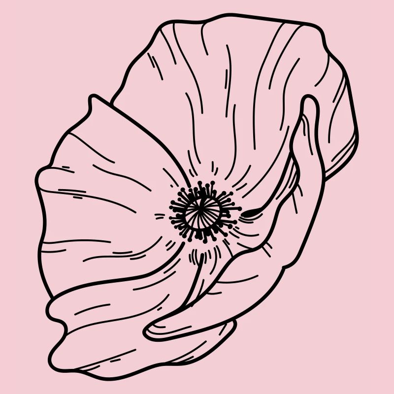 Fleur de pavot