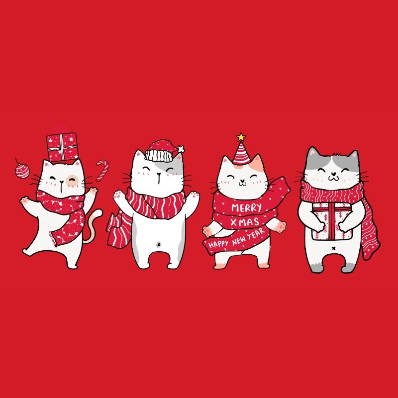Chat à Noël