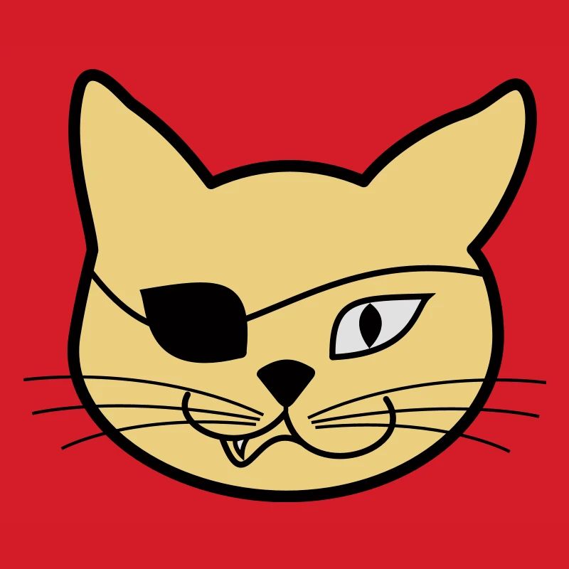 Pirate Kitteh