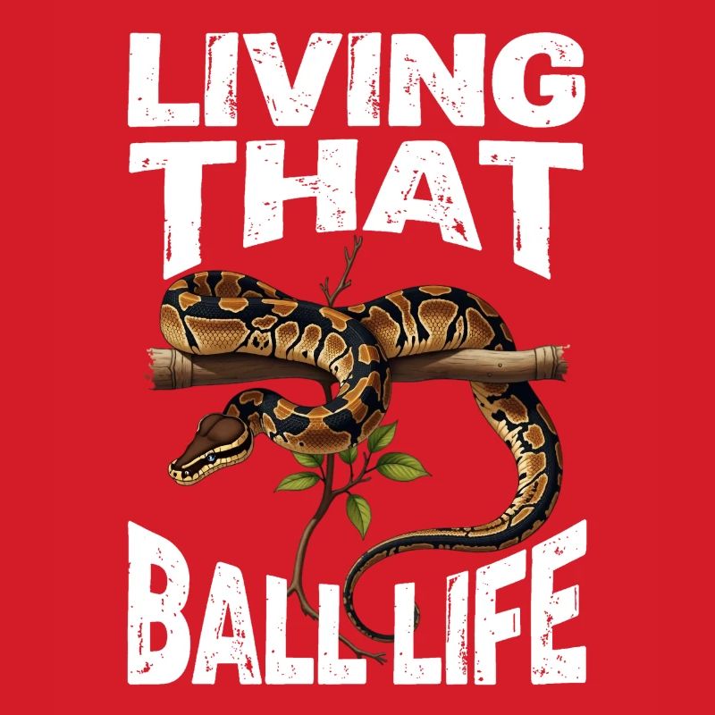 Königspython Schlangen Liebhaber Terrarium Python