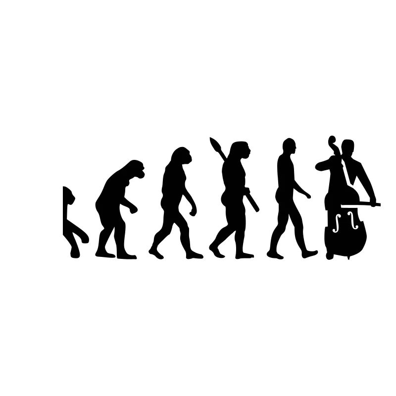 Evolution Contrabasse