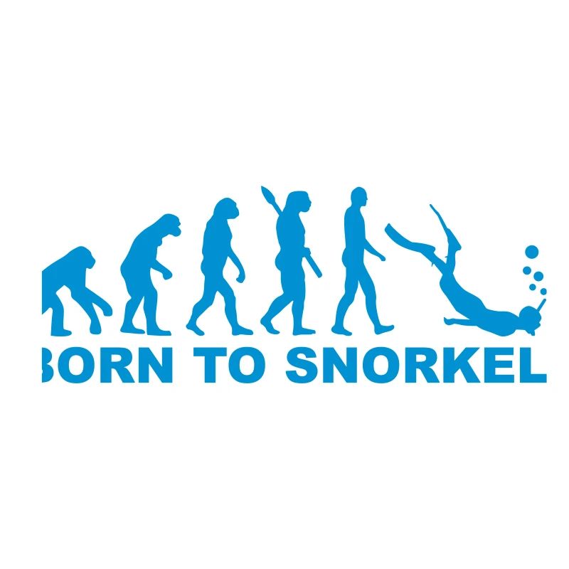 Evolution Snorkeling