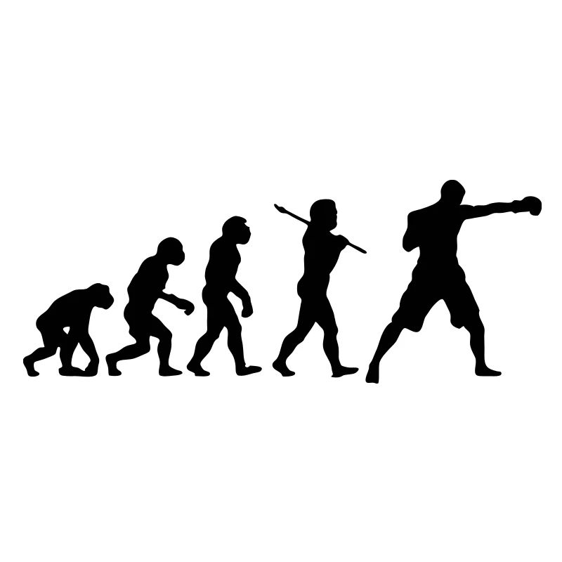 Boxing Evolution