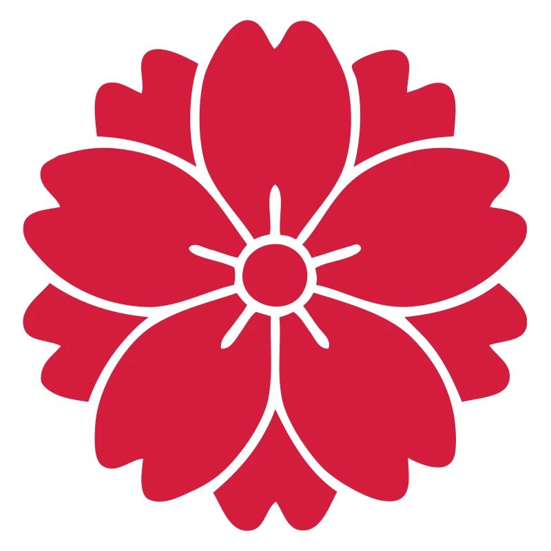 sakura anime fleur de cerisier