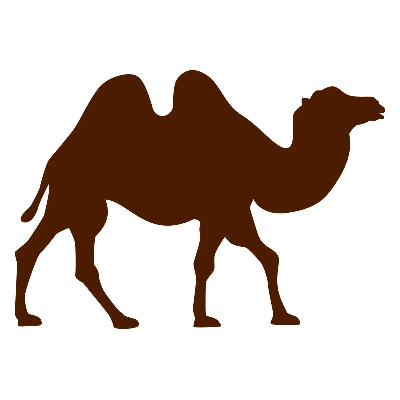 Camel