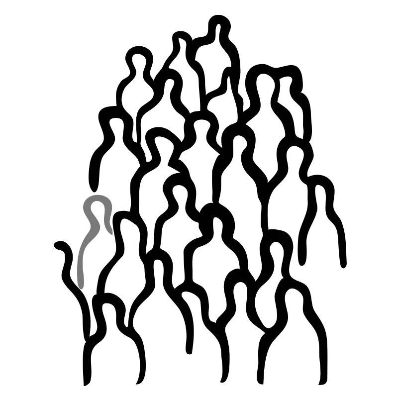 Protest