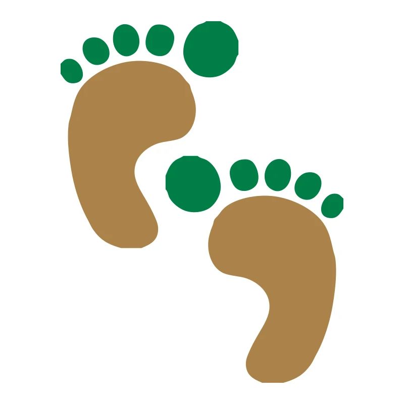 footprints2