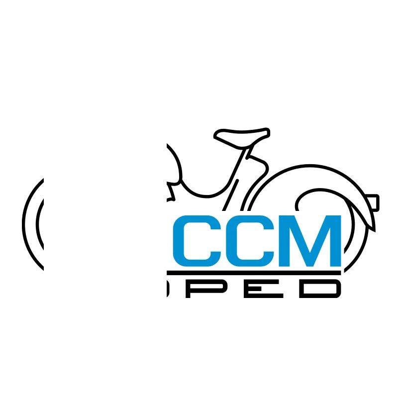 Emblème de cyclomoteur SR2 60cc