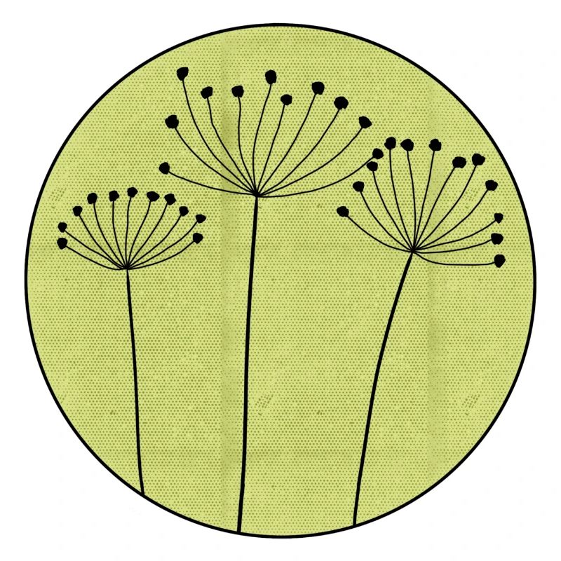 Fleur séchée Minimale