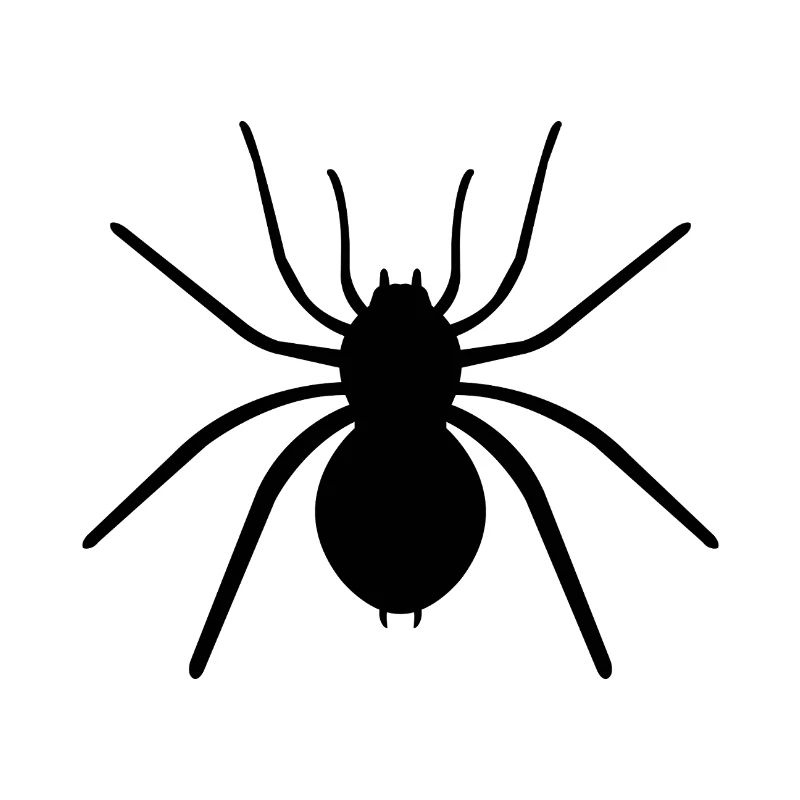 Spinne
