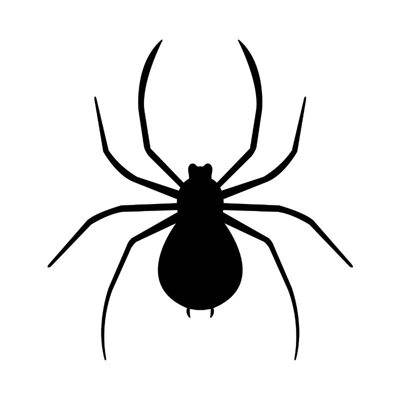araignée