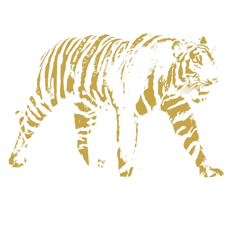 Wilder Tiger, Altmodisch, Abbildung