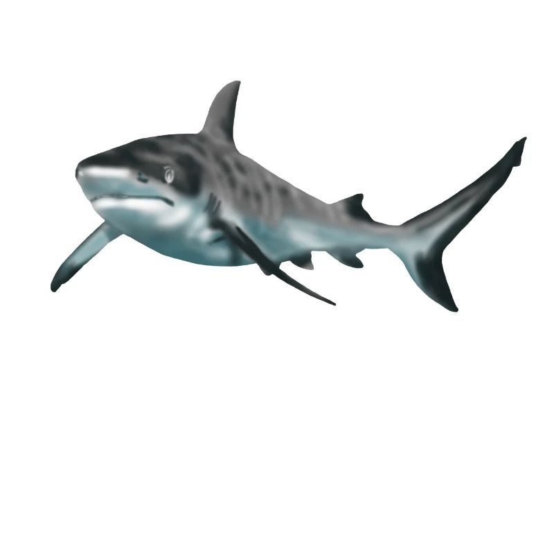 requin