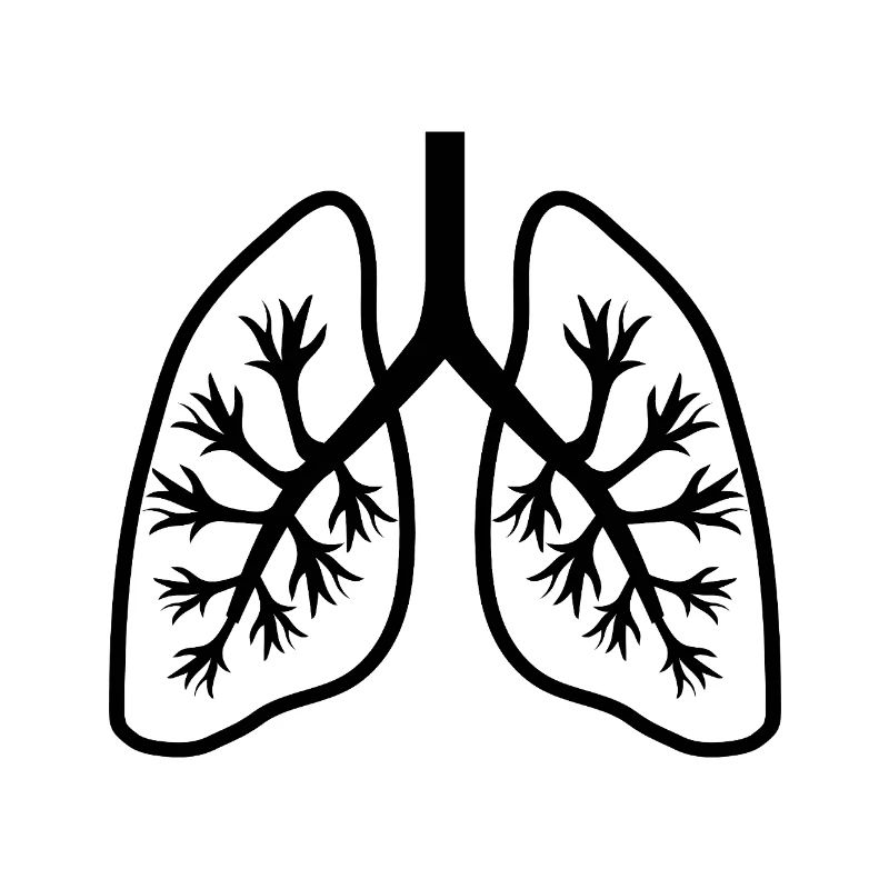 Lungs