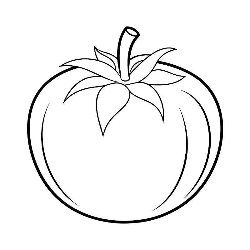 Tomato outline