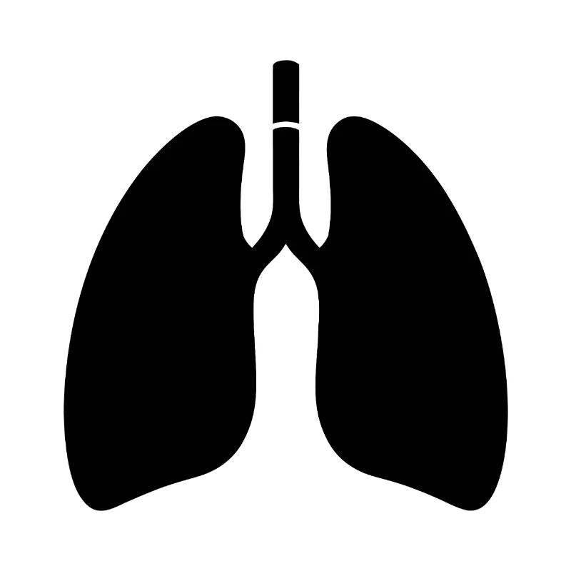 Lungs