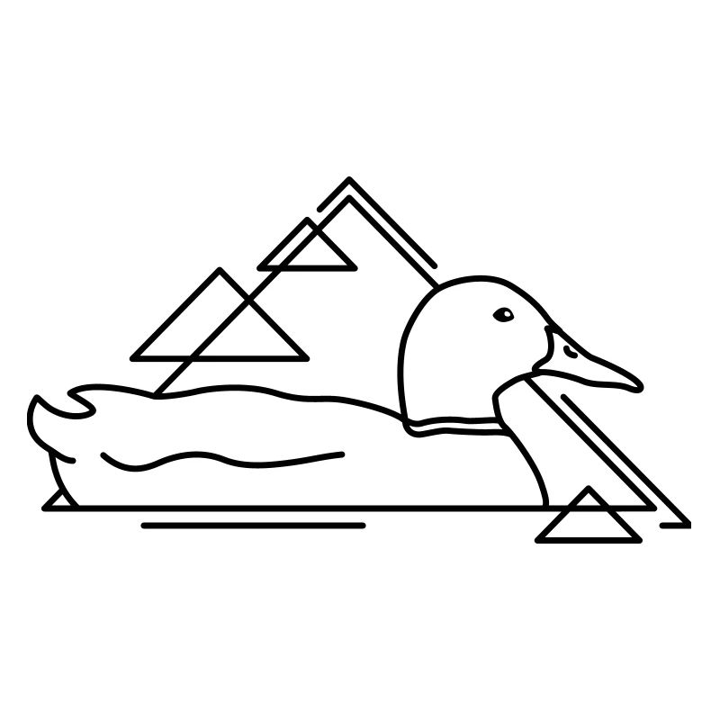 Floating duck in geometric design