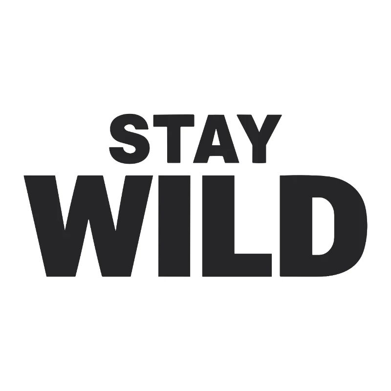 Déclaration de liberté d’aventure STAY WILD