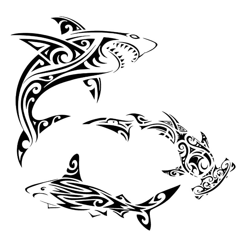 Requins polynésiens noirs